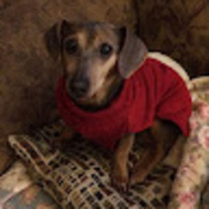 Meet your Posher, Veronica